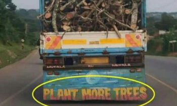 IAS Awanish Sharan posts a picture of a vehicle with the message “Plant more trees” on it full of chopped trees.