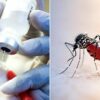 According to scientists, a new malaria vaccine will ‘change the world’