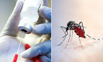 According to scientists, a new malaria vaccine will ‘change the world’