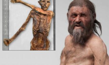 Ötzi the Iceman’s actual appearance uncovered by new DNA examination