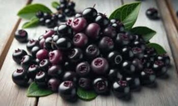 The Many Health Advantages Of Black Chokeberries