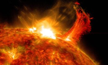 165 years ago, Earth was hit by the largest solar storm in history, hidden in trees